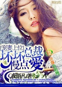 宠妻上位,坏坏总裁慢点爱