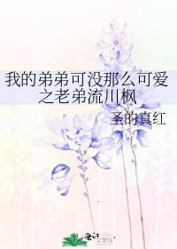 我的弟弟可沒那麼可愛之老弟流川楓