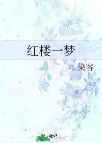 红楼一梦