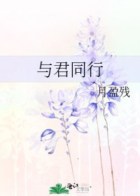 與君同行