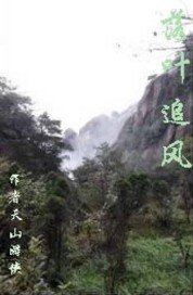落葉追風